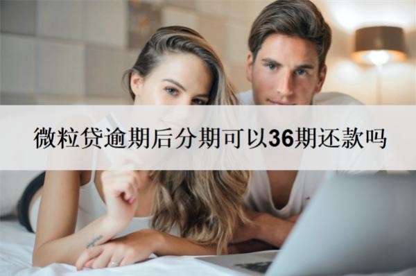 微粒贷逾期后分期可以36期还款吗?可以申请延期还款吗?