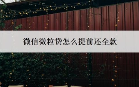 微信微粒贷怎么提前还全款？还不起怎么办？