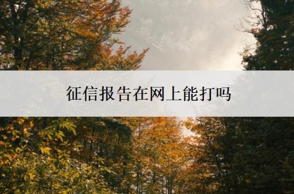 征信报告在网上能打吗？什么银行能打征信报告？