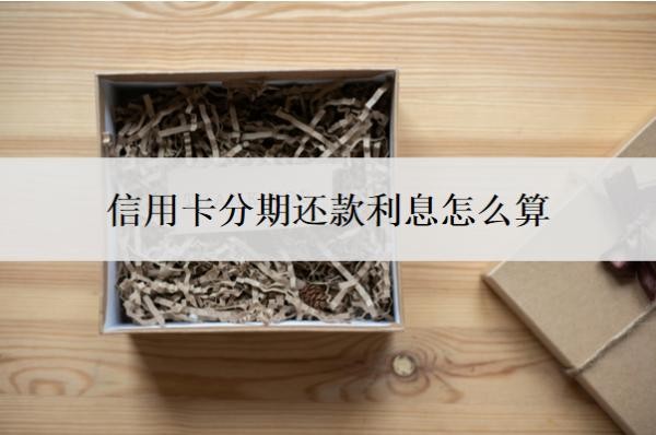 信用卡分期还款利息怎么算？一万分期12月利息多少？
