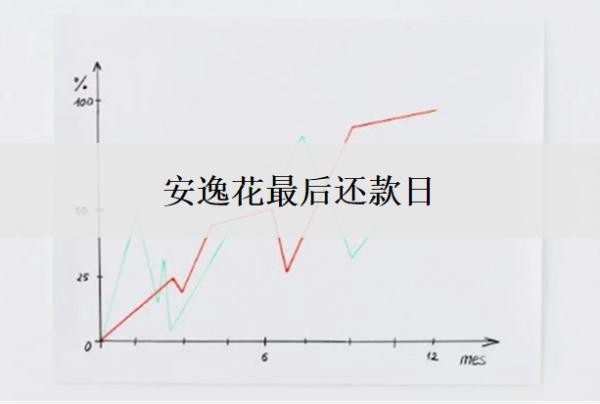 安逸花最后还款日是多久?怎么申请延期还款?
