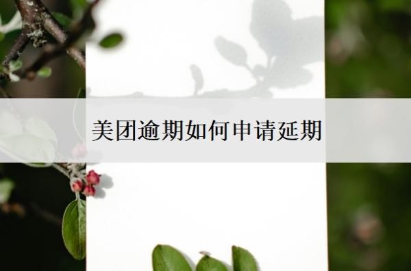 美团逾期如何申请延期?申请延期需要相关证明吗?