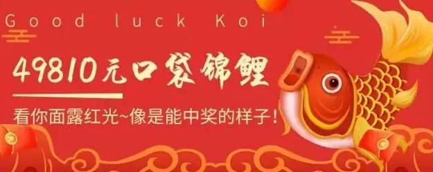 平安Costco Visa联名卡,新卡推荐 平安Costco Visa联名卡,新卡推荐