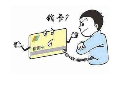 信用卡养卡管理以多个月还是一个月为基准?