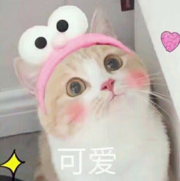 羊毛| 苏宁支付3重惊喜